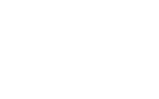 Dragon Fractal