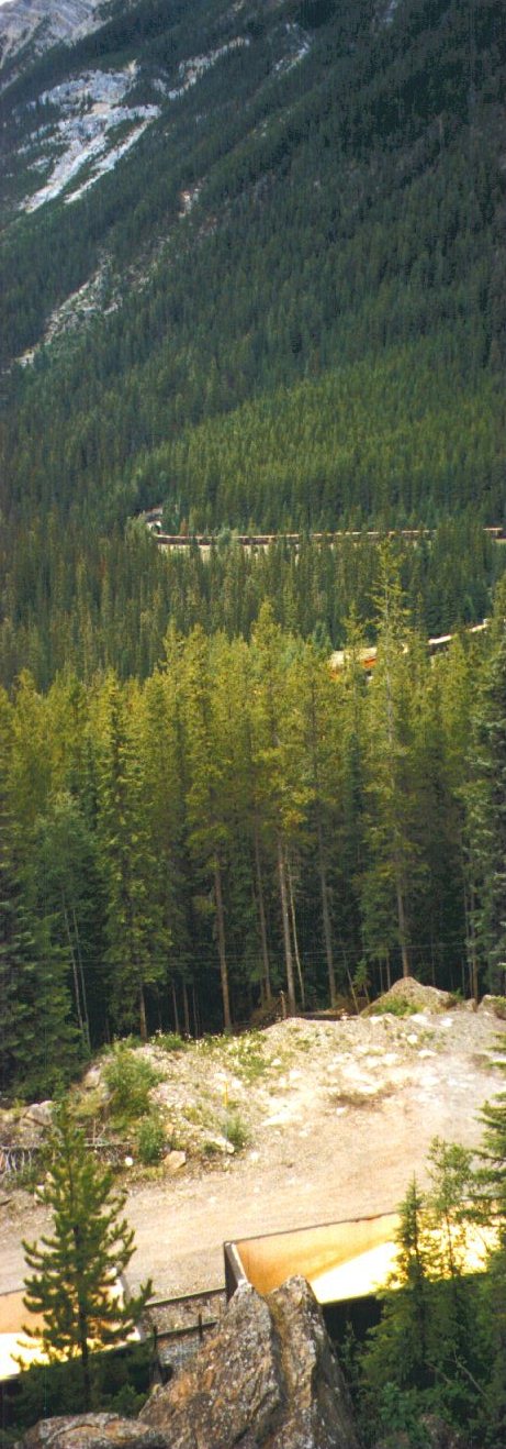  One Tunnel - One Train 