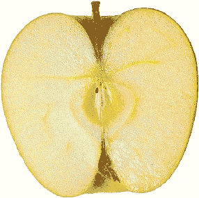 Image with a Color Reduction to 16 Colors