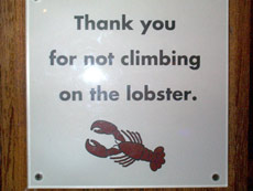 To curb one's impulse to climb on lobsters is too much to ask of anyone...