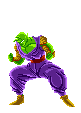 piccolo11