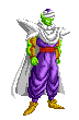 piccolo12