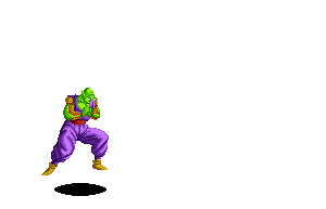 piccolo13