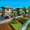 old jeepneys