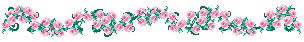 pink-rose-line.gif (2167 bytes)