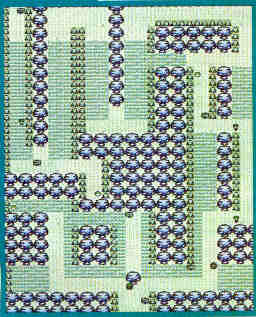 viridfir.jpg (18312 bytes)