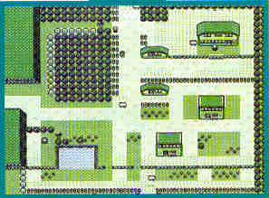 viridian.jpg (13694 bytes)