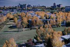 Calgary in the fall