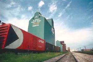 Grain Elevators in Innisfail