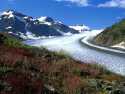 Salmon Glacier near Stewar