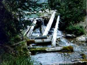 A stream on the Jacques Lake trail