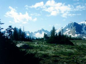 A scene in the Tonquin Valley